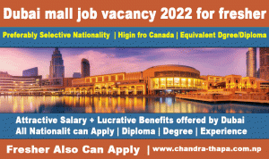 Dubai mall job vacancy 2022 for fresher (Latest New Job Updated)